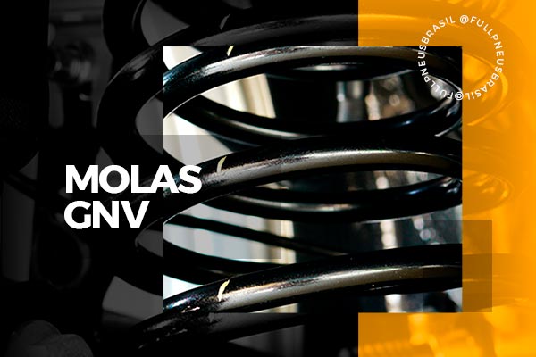molas-gnv-full-pneus