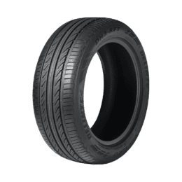 Pneu Aro 17 Delinte 205X50R17 89W DH3 Runflat
